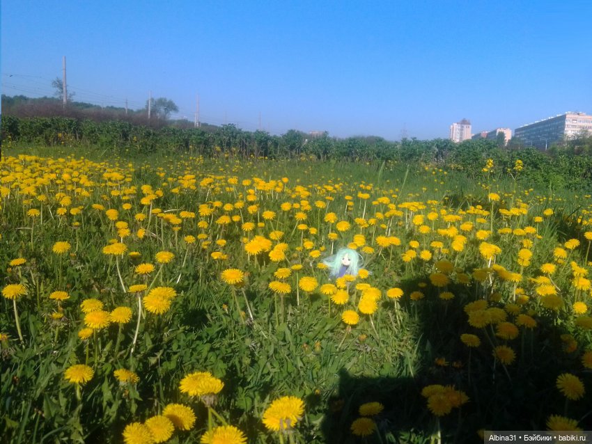 Питер май 2024 год (7) | Бэйбики Питер май 2024 год (7) — Игровые куклы разных производителей (Разное): редкие бренды