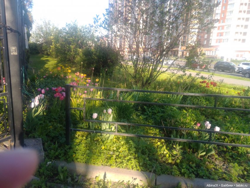 Питер май 2024 год (7) | Бэйбики Питер май 2024 год (7) — Игровые куклы разных производителей (Разное): редкие бренды (фото 9)