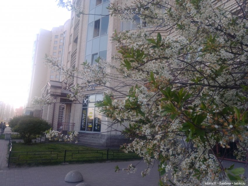 Питер май 2024 год (7) | Бэйбики Питер май 2024 год (7) — Игровые куклы разных производителей (Разное): редкие бренды