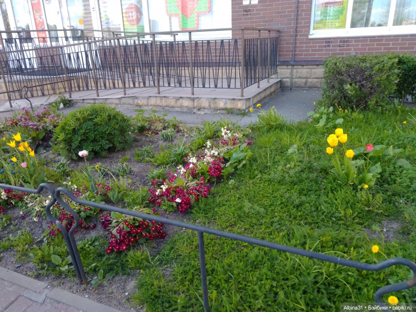 Питер май 2024 год (7) | Бэйбики Питер май 2024 год (7) — Игровые куклы разных производителей (Разное): редкие бренды (фото 2)