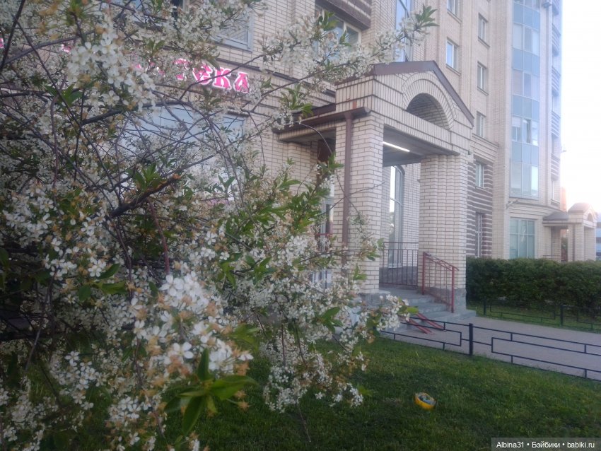 Питер май 2024 год (7) | Бэйбики Питер май 2024 год (7) — Игровые куклы разных производителей (Разное): редкие бренды