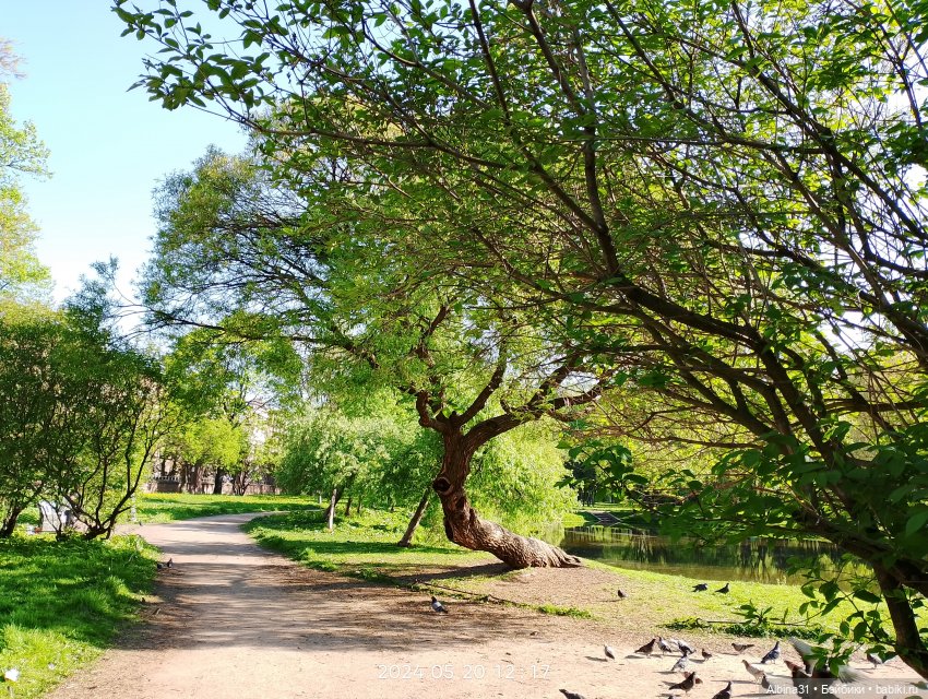 Питер. Сад 9 января. Триумфальная арка (фото 8)