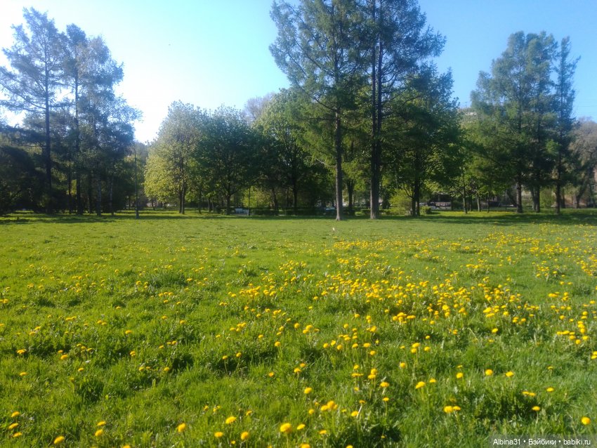 Питер. Сад 9 января. Триумфальная арка