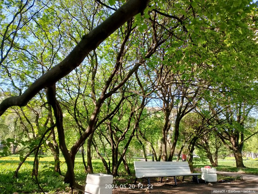 Питер. Сад 9 января. Триумфальная арка