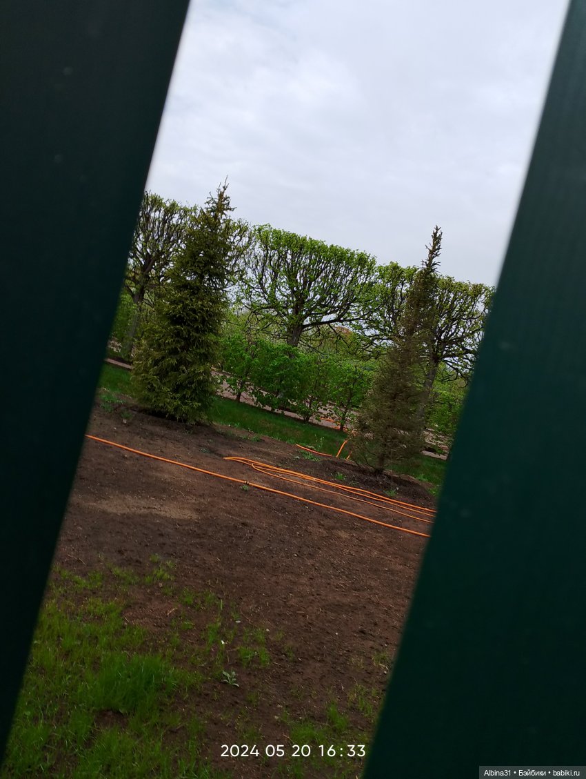 Петергоф — Куклы Baboliy (Баболи (фото 4)