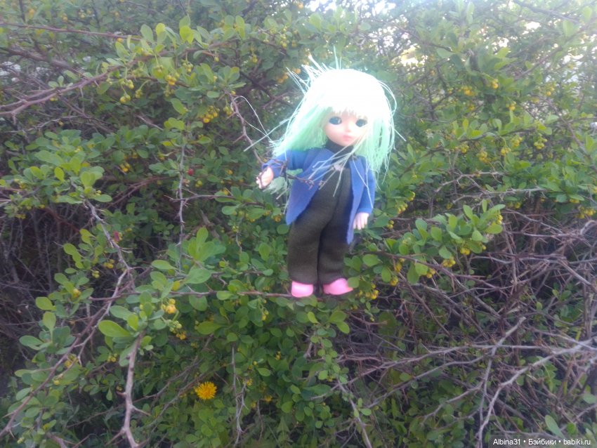 Питер. Сад 9 января. Триумфальная арка