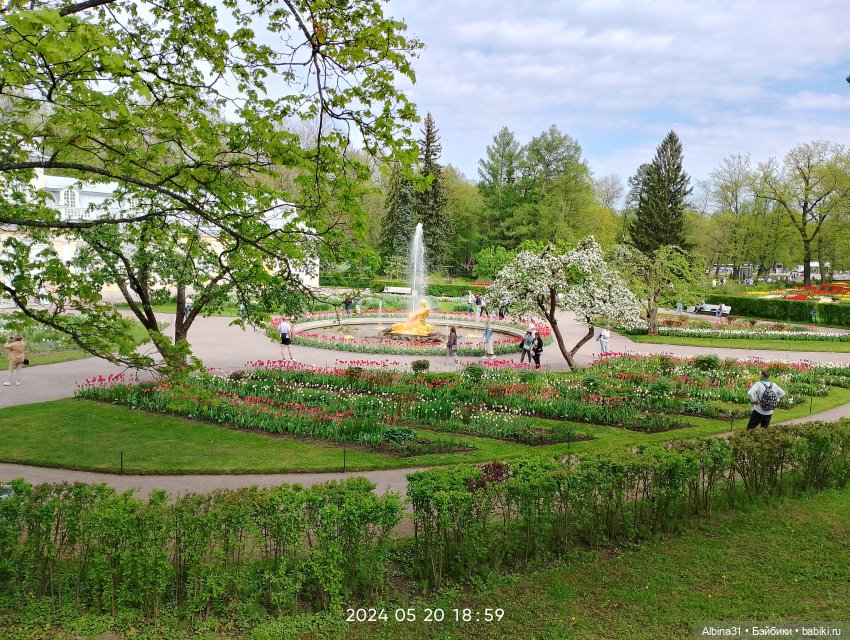 Петергоф — Куклы Baboliy (Баболи