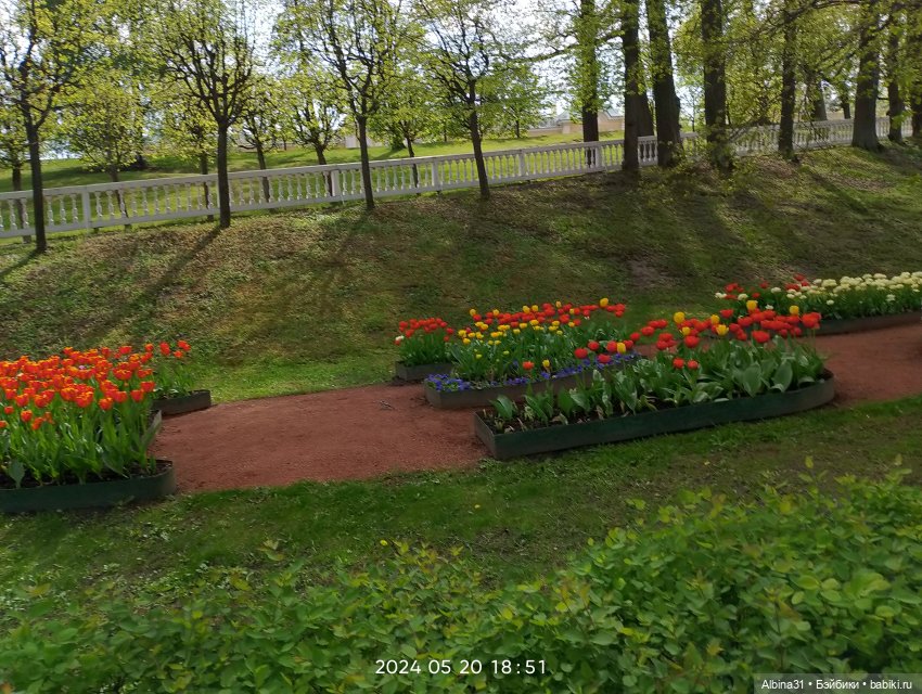 Петергоф — Куклы Baboliy (Баболи