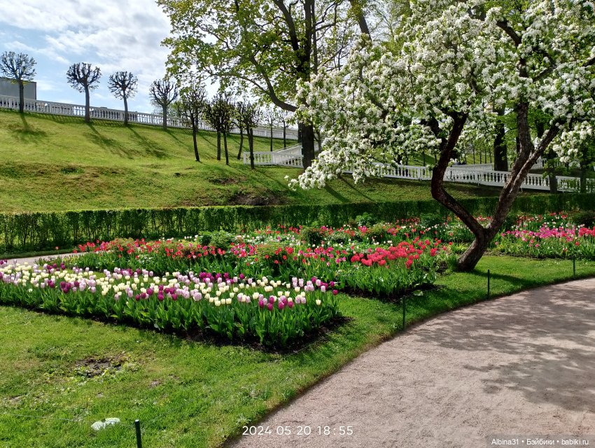 Петергоф — Куклы Baboliy (Баболи