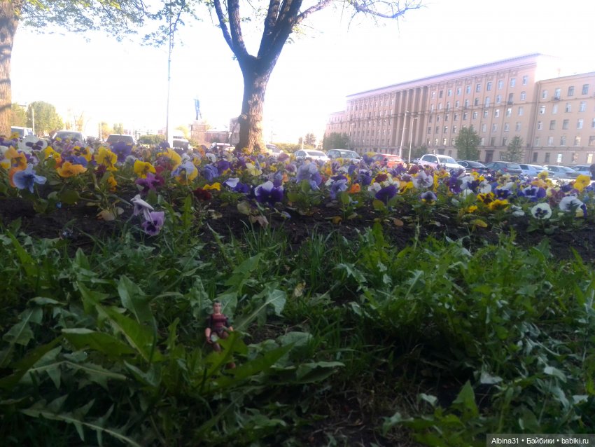 Питер. Сад 9 января. Триумфальная арка