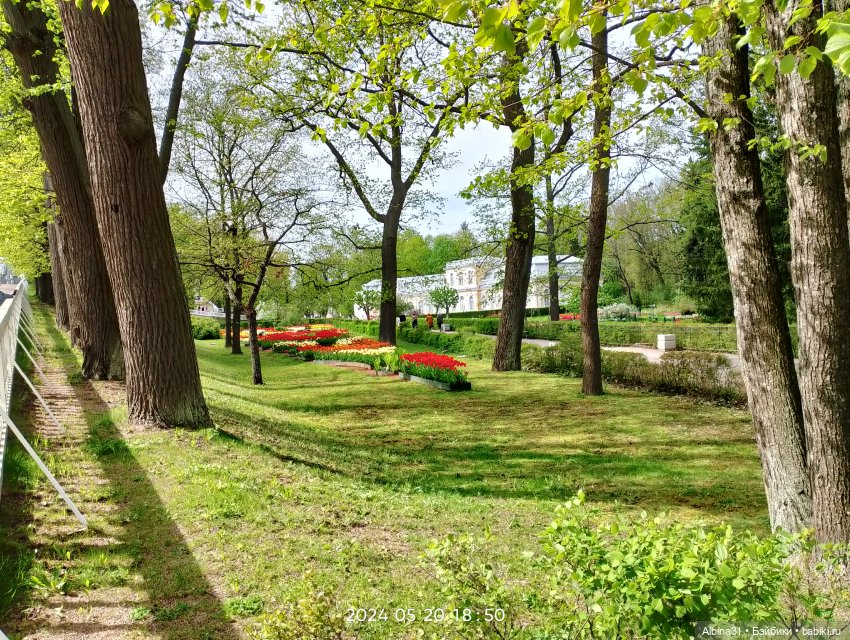 Петергоф — Куклы Baboliy (Баболи