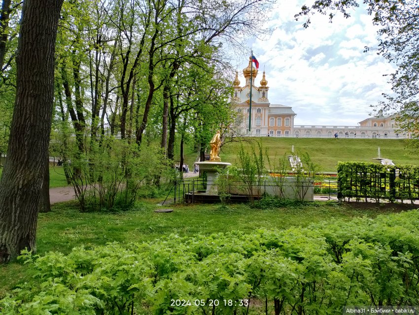 Петергоф — Куклы Baboliy (Баболи
