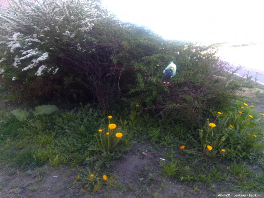 Питер. Сад 9 января. Триумфальная арка