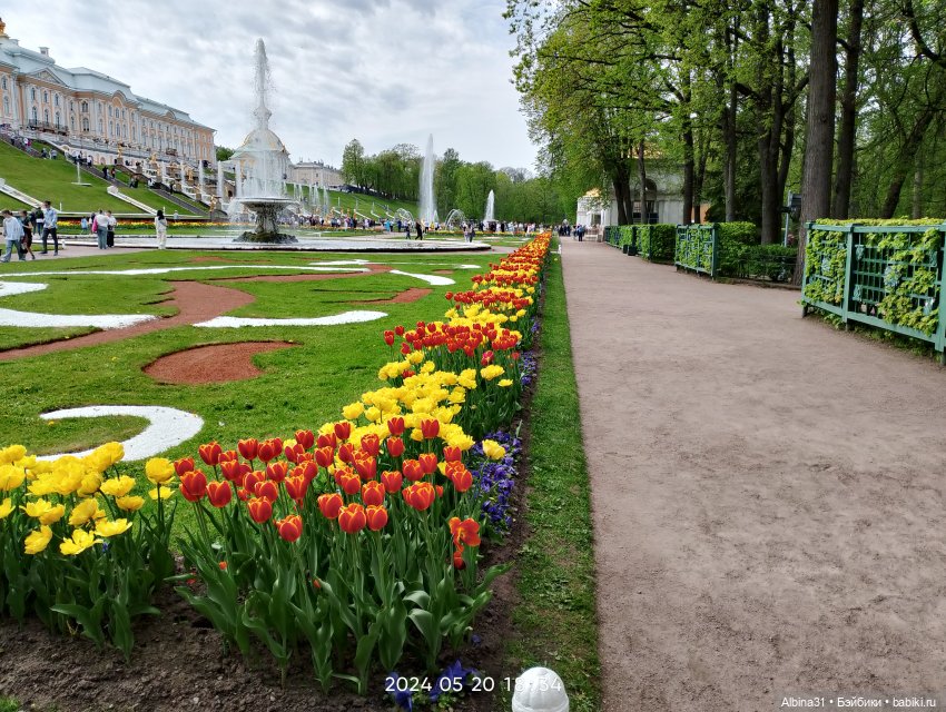 Петергоф — Куклы Baboliy (Баболи