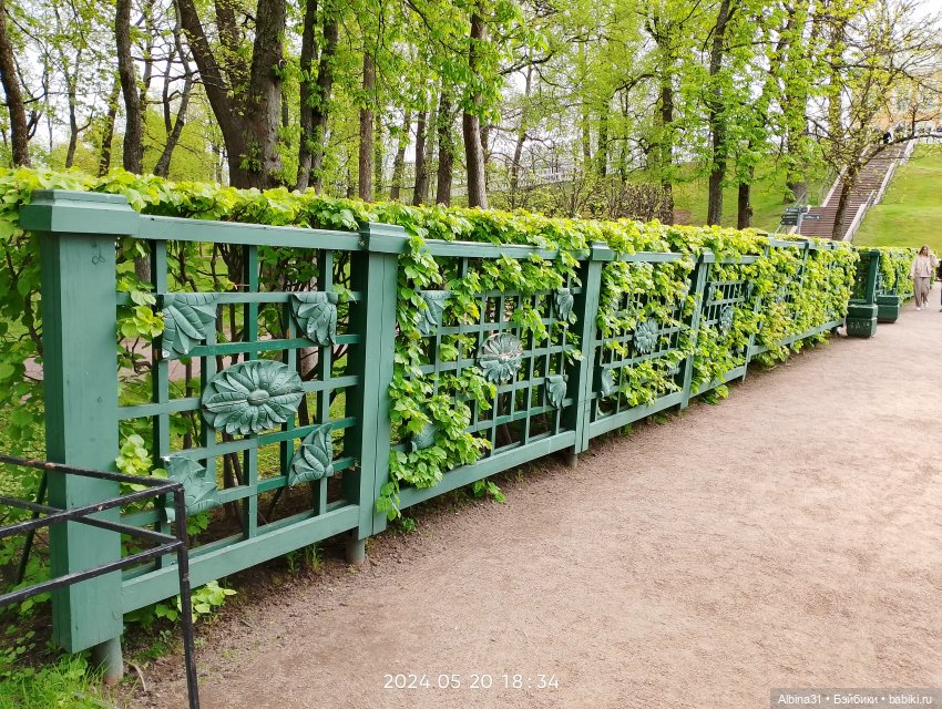 Петергоф — Куклы Baboliy (Баболи