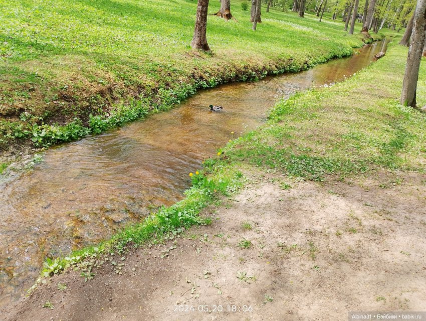 Петергоф — Куклы Baboliy (Баболи