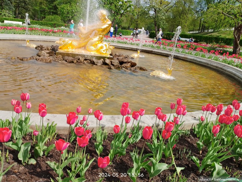 Петергоф — Куклы Baboliy (Баболи