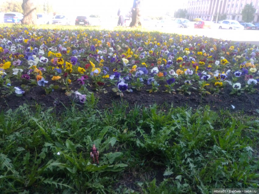 Питер. Сад 9 января. Триумфальная арка