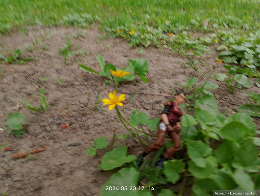 Петергоф — Куклы Baboliy (Баболи