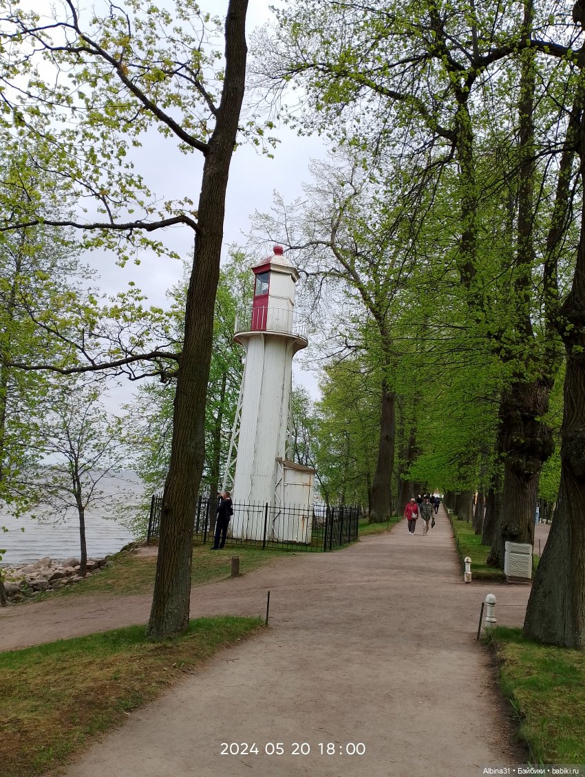 Петергоф — Куклы Baboliy (Баболи