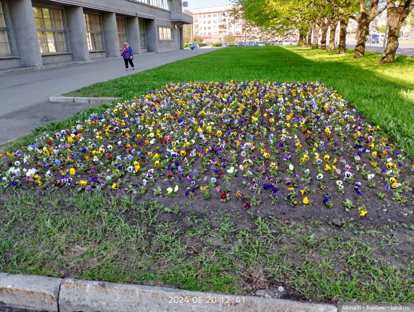 Питер. Сад 9 января. Триумфальная арка