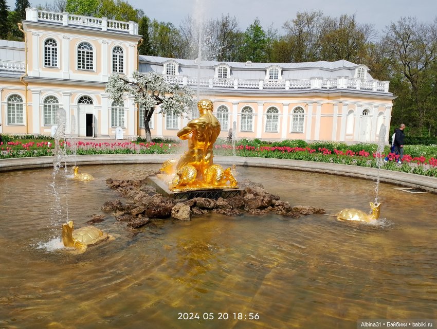 Петергоф — Куклы Baboliy (Баболи