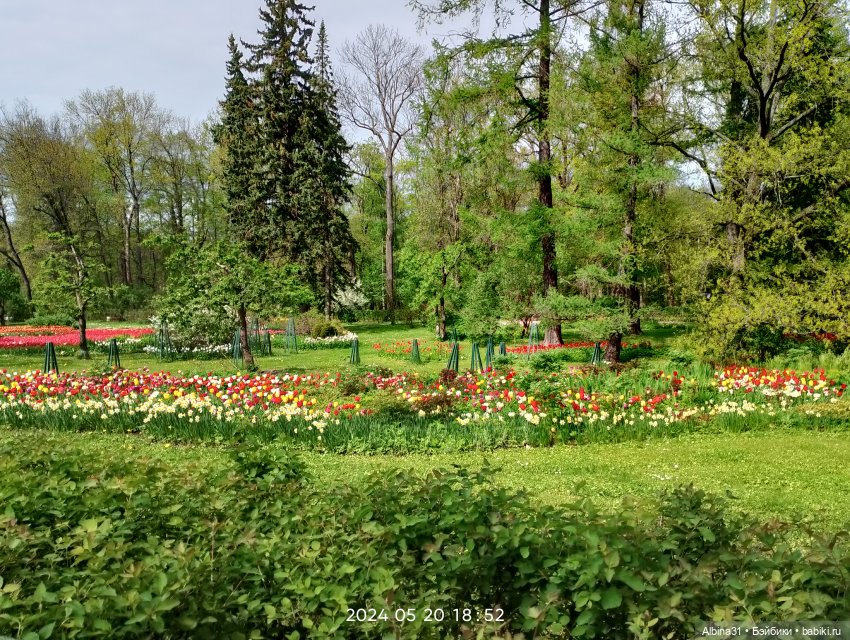 Петергоф — Куклы Baboliy (Баболи