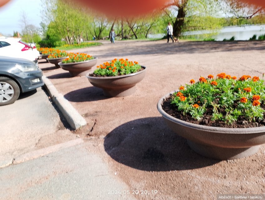 Петергоф окончание — Разные шарнирные куклы (не БЖД): редкие