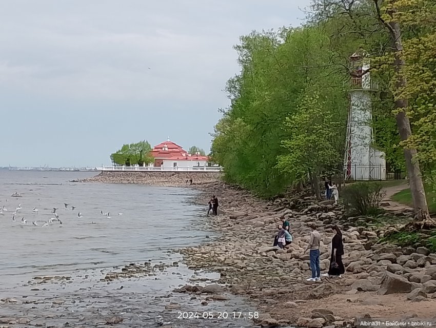 Петергоф окончание — Разные шарнирные куклы (не БЖД): редкие