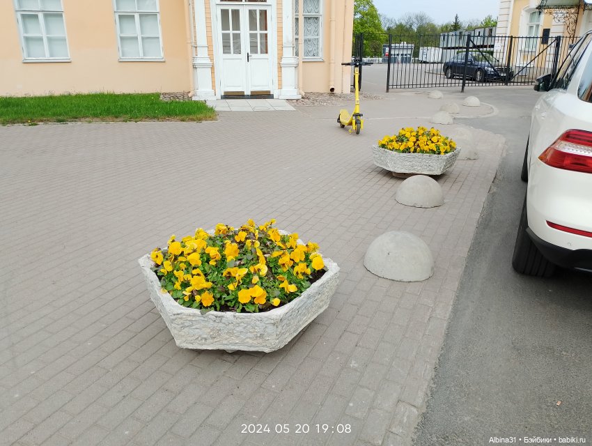 Петергоф окончание — Разные шарнирные куклы (не БЖД): редкие