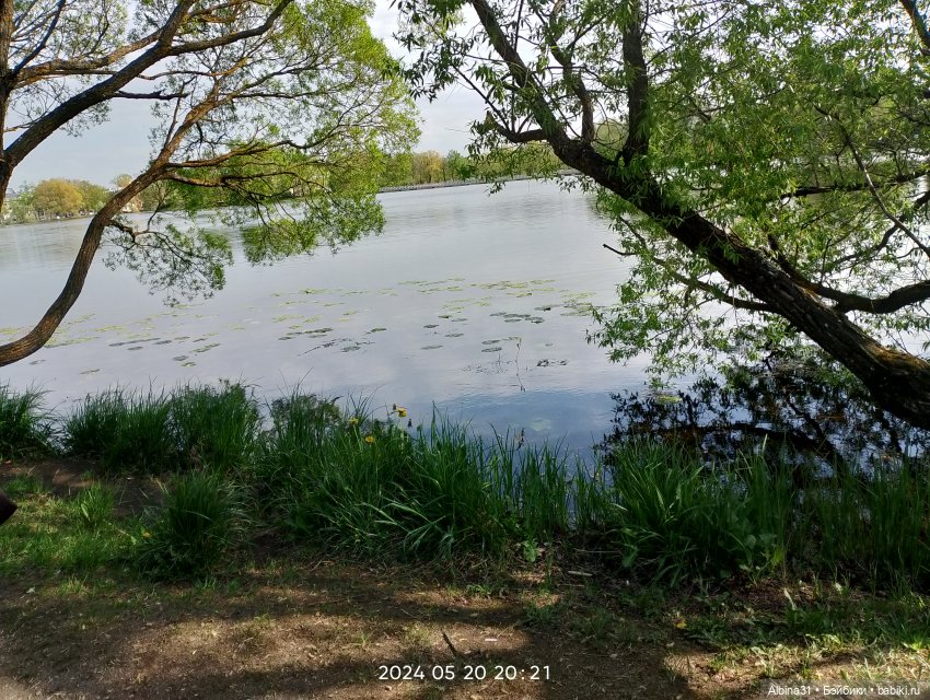 Петергоф окончание — Разные шарнирные куклы (не БЖД): редкие