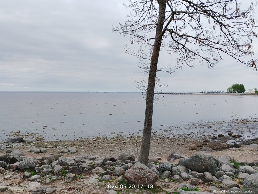 Петергоф окончание — Разные шарнирные куклы (не БЖД): редкие (фото 2)