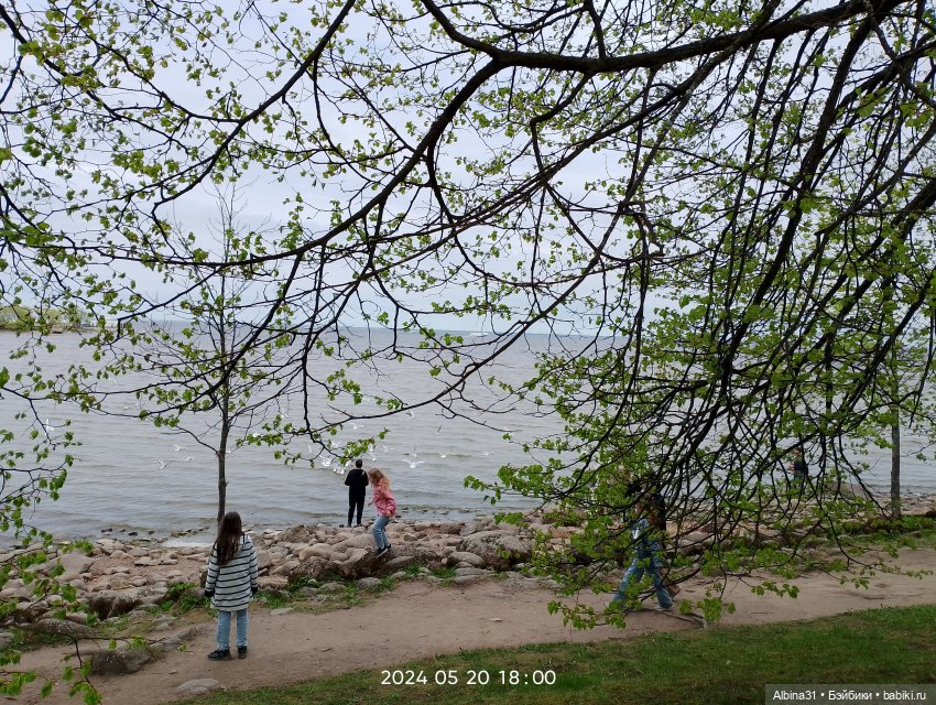 Петергоф окончание — Разные шарнирные куклы (не БЖД): редкие