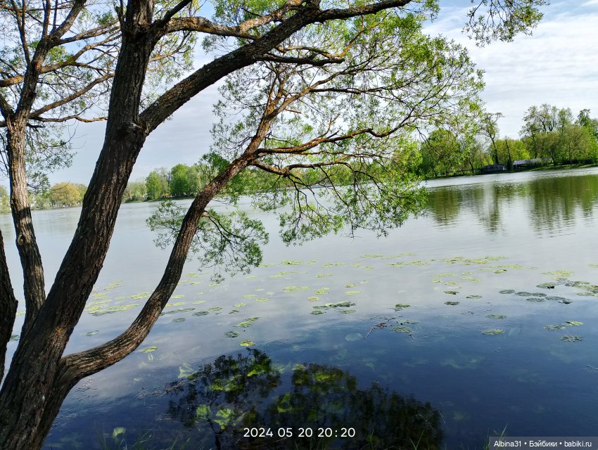 Петергоф окончание — Разные шарнирные куклы (не БЖД): редкие