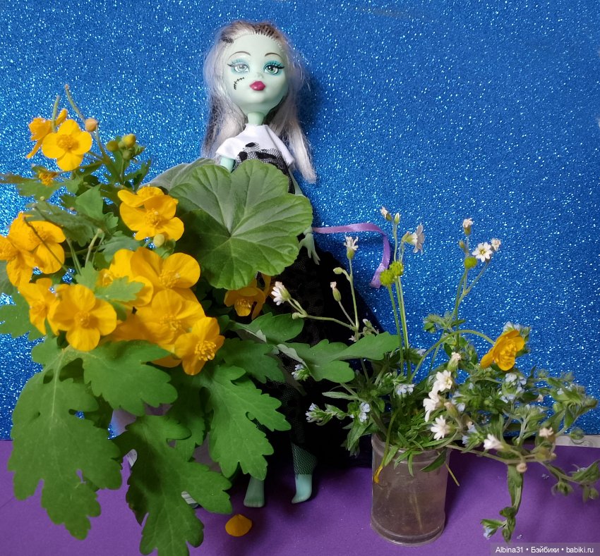 Чёрное плюс — Игровые куклы разных производителей (Разное): редкие бренды