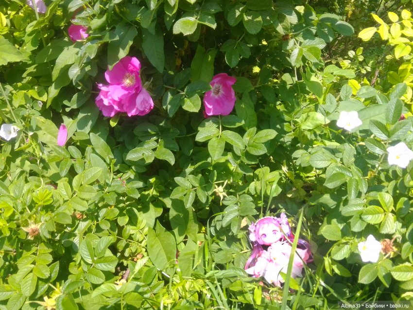 Знаки зодиаки прибавляются (фото 8)