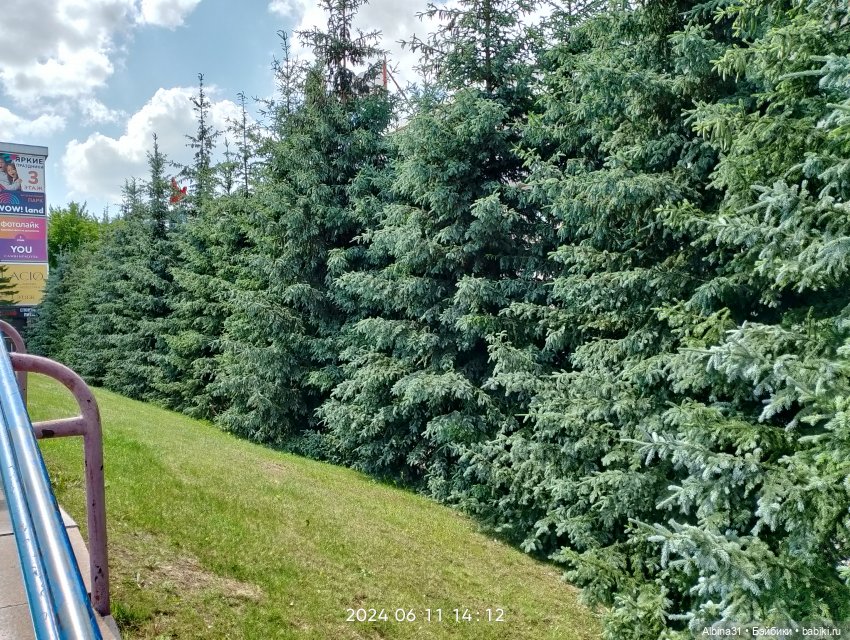 Городские зарисовки или... Немного сибирского лета