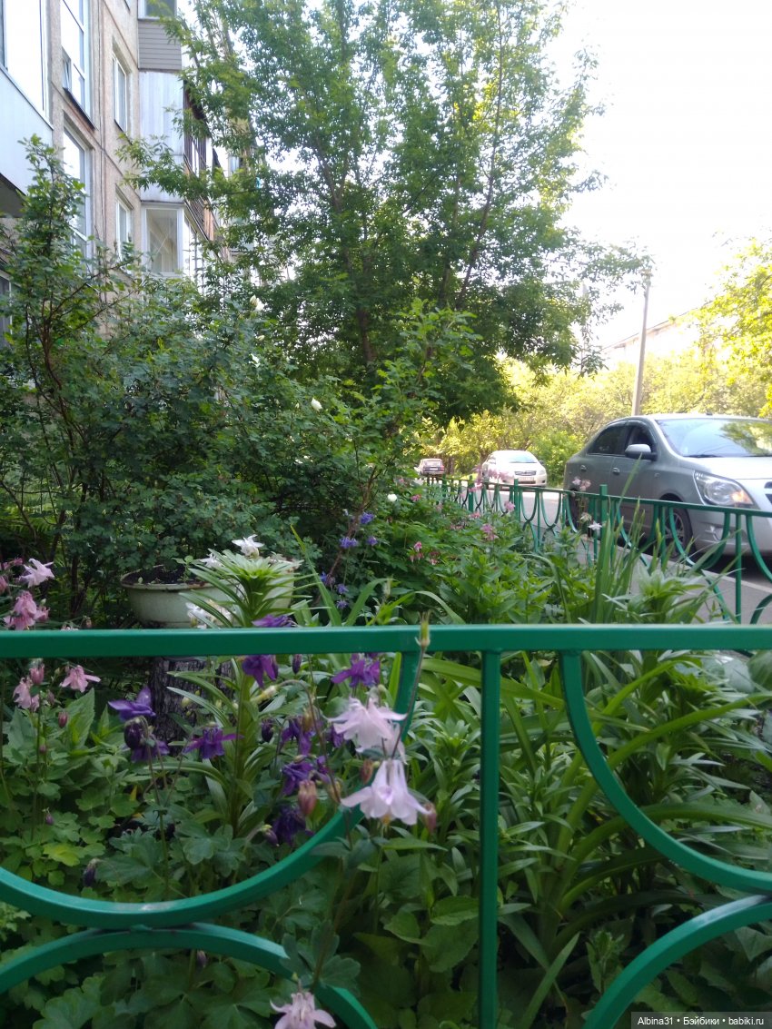 Городские зарисовки или... Немного сибирского лета