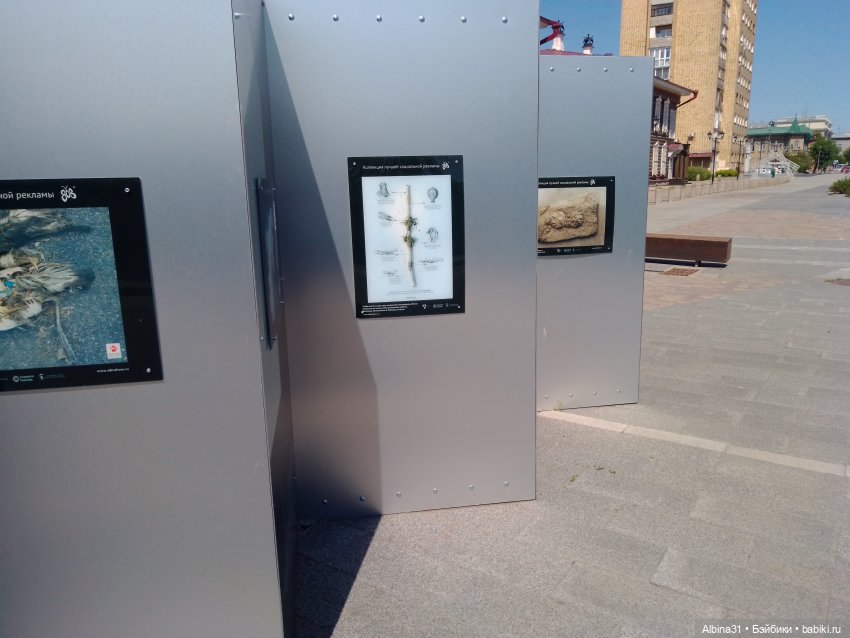 Городские зарисовки или... Немного сибирского лета (фото 7)