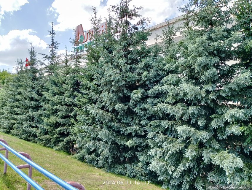 Городские зарисовки или... Немного сибирского лета