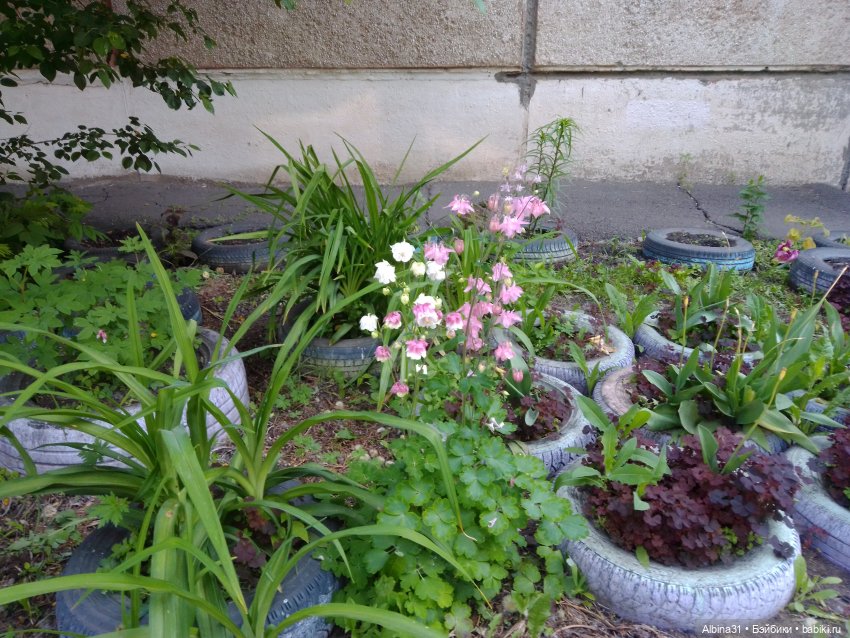 Городские зарисовки или... Немного сибирского лета