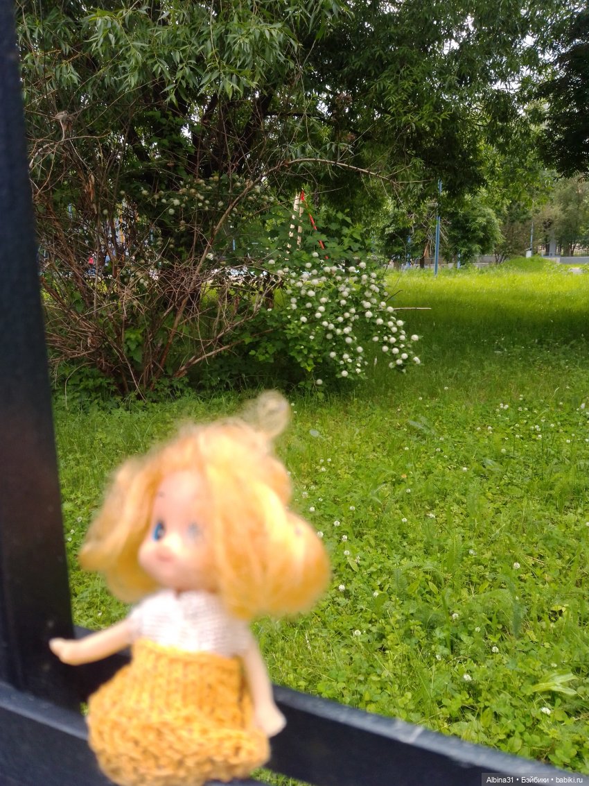 Городские зарисовки или... Немного сибирского лета