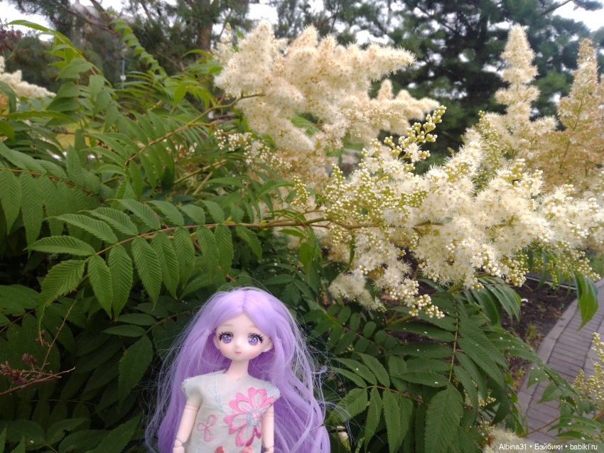 Городские зарисовки или... Немного сибирского лета