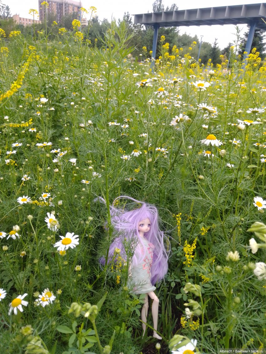 Городские зарисовки или... Немного сибирского лета