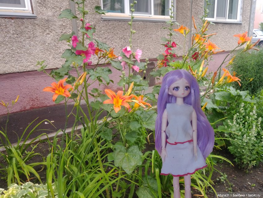 Городские зарисовки или... Немного сибирского лета