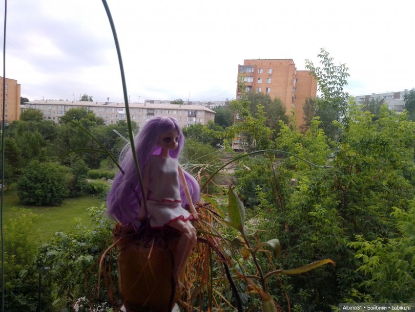 Городские зарисовки или... Немного сибирского лета