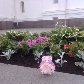 Городские зарисовки или... Немного сибирского лета