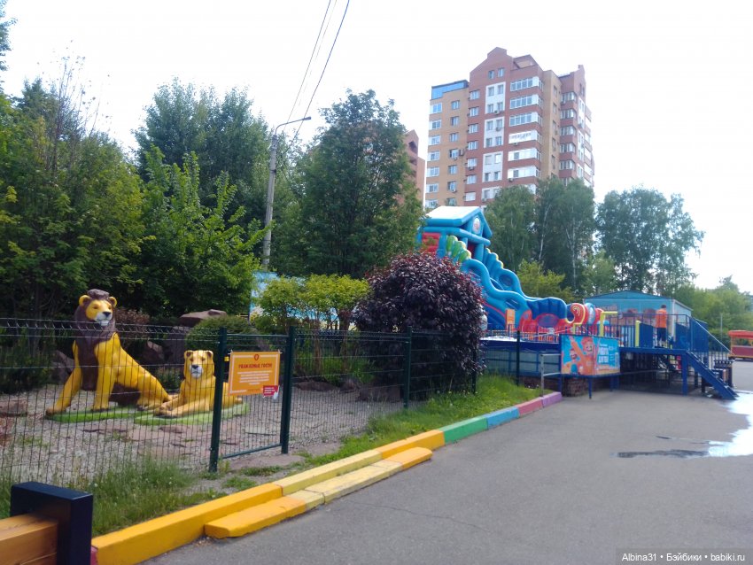 Городские зарисовки...Троя и Гагарина, парки 2024 год (фото 10)