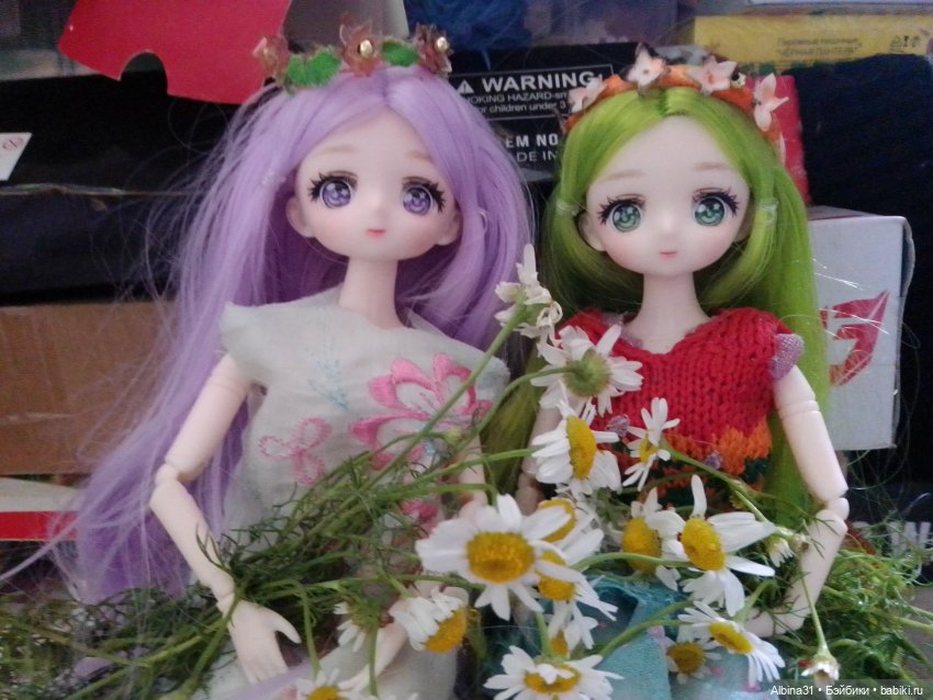 Цветы и ягодки... Лето 2024 год (фото 6)