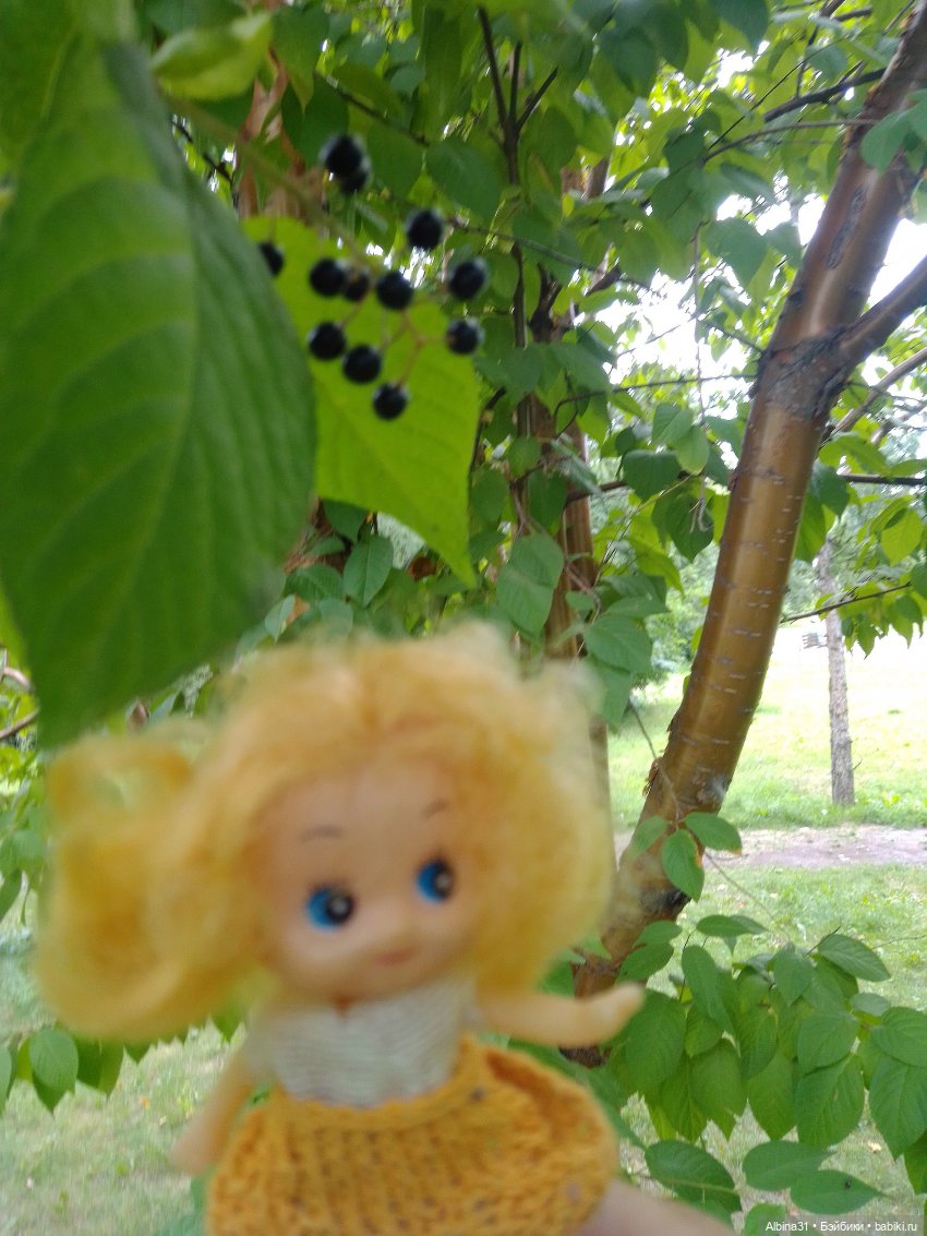 Цветы и ягодки... Лето 2024 год